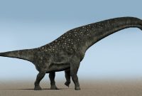 titanosaurus-colberti-2_4c21